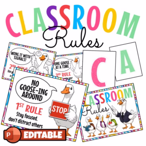 Silly Goose Classroom Management | Porch Goose Class Pet Rules Bulletin Board