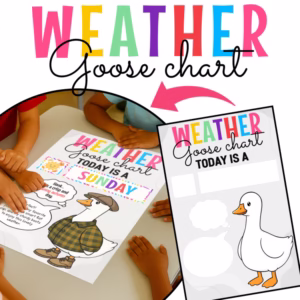 Weather Goose Class Pet Chart, Dress Up Goose outfit, Silly Goose Bulletin Board