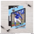 blue_black_baseball_trading_card_baseball_card-r702fe3cf252f4361b3a1a2062189be63_tcxsy_b8j4k_1500-1.jpg