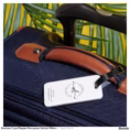 business_logo_elegant_monogram_initials_white_luggage_tag-r81b812050cc9454b913a77fbef65b8ff_4b3gh_8byvr_1500.jpg