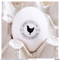 chicken_eggs_minimalist_small_business_black_white_rubber_stamp-r_idj6bc_1500.webp