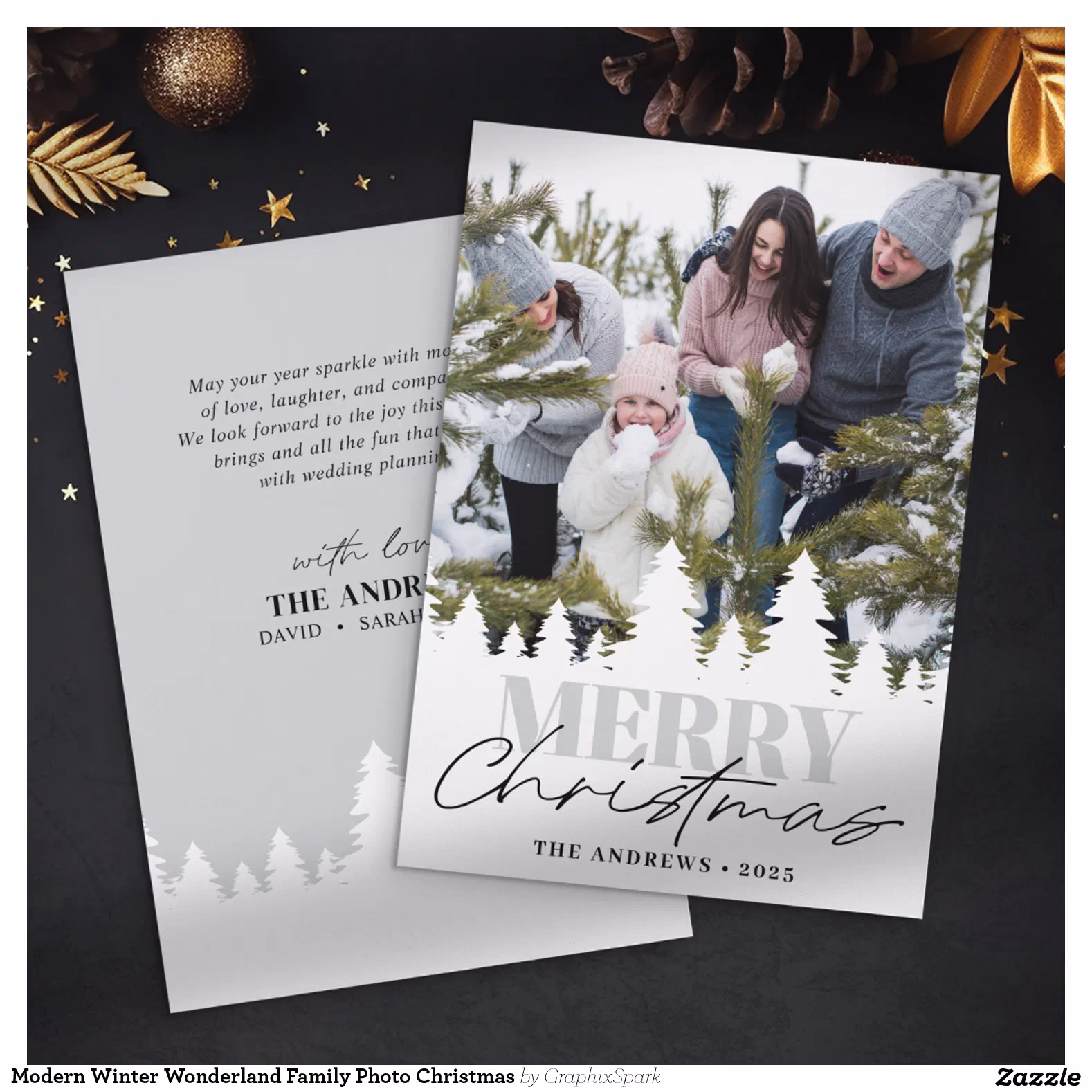 Modern Winter Wonderland Family Photo Christmas Holiday Card