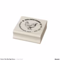 rustic_chic_hen_egg_stamp-rbf9c169c057f4fdda77f174dea89ca40_6y40k_1500.jpg