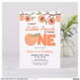 sweet_little_peach_first_birthday_party_invitation-r68bf860f6d314192851e92a5195cedbe_tcvqx_1500.jpg