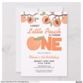 sweet_little_peach_first_birthday_party_invitation-r68bf860f6d314192851e92a5195cedbe_tcvt0_1500.jpg