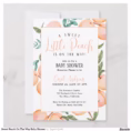 sweet_peach_on_the_way_baby_shower_invitation-r7590f9ca032946e988475c7f0fbe2b71_tcvt0_1500.jpg